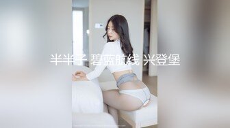 半半子 碧蓝航线 兴登堡