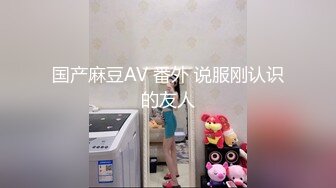 国产麻豆AV 番外 说服刚认识的友人