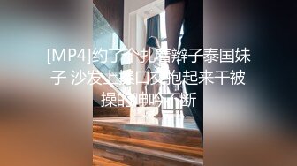 [MP4]约了个扎着辫子泰国妹子 沙发上操口交抱起来干被操的呻吟不断