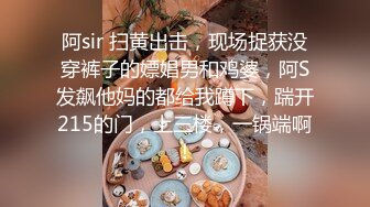 阿sir 扫黄出击，现场捉获没穿裤子的嫖娼男和鸡婆，阿S发飙他妈的都给我蹲下，踹开215的门，上三楼，一锅端啊！