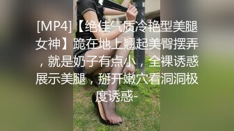 [MP4]【绝佳气质冷艳型美腿女神】跪在地上翘起美臀摆弄，就是奶子有点小，全裸诱惑展示美腿，掰开嫩穴看洞洞极度诱惑-