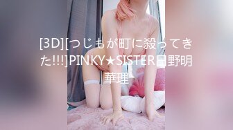 [3D][つじもが町に殺ってきた!!!]PINKY★SISTER日野明華理