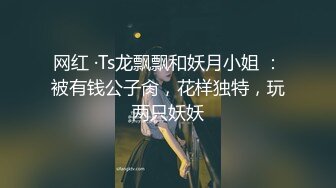 网红 ·Ts龙飘飘和妖月小姐 ：被有钱公子肏，花样独特，玩两只妖妖