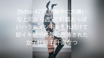 [fsdss-477] 残業中に大嫌いな上司から週5で粘着おっぱいハラスメントをされ続けて即イキ敏感体質に改善された女子社員 五十嵐なつ