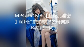 [MP4/754MB]【超极品泄密】柳州许琪珍等23位母狗露脸图影泄密