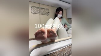 100元的飞机