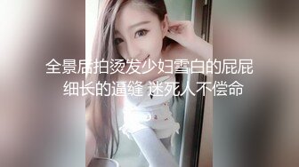 全景后拍烫发少妇雪白的屁屁  细长的逼缝 迷死人不偿命