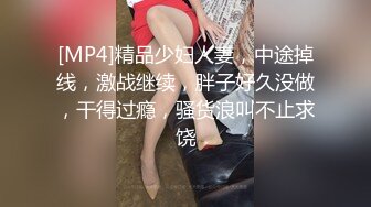 [MP4]精品少妇人妻，中途掉线，激战继续，胖子好久没做，干得过瘾，骚货浪叫不止求饶